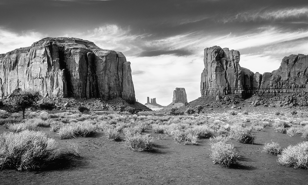 DSC05807-2web.jpg.632a7d71f9e35f30f0d3b0b36d6d58eb.jpg