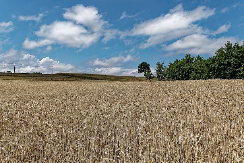 VHA09904_DxO.jpg
