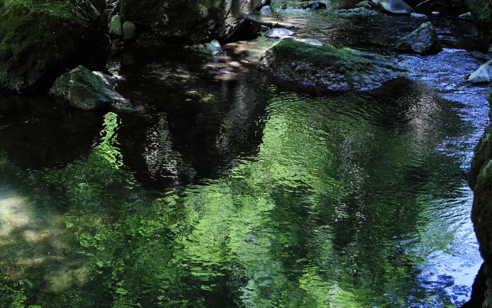 IMG_1261 miroir 1000.JPG