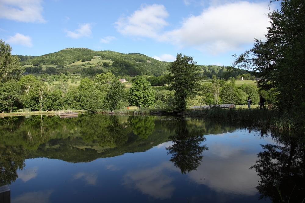 IMG_1094 reflet 1000.JPG