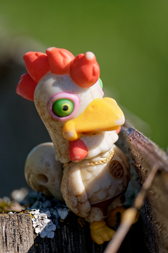 Petit Poulet.jpg