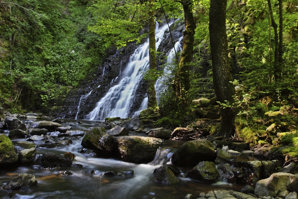 IMG_1105 Cascade de la Roche 1000.jpg