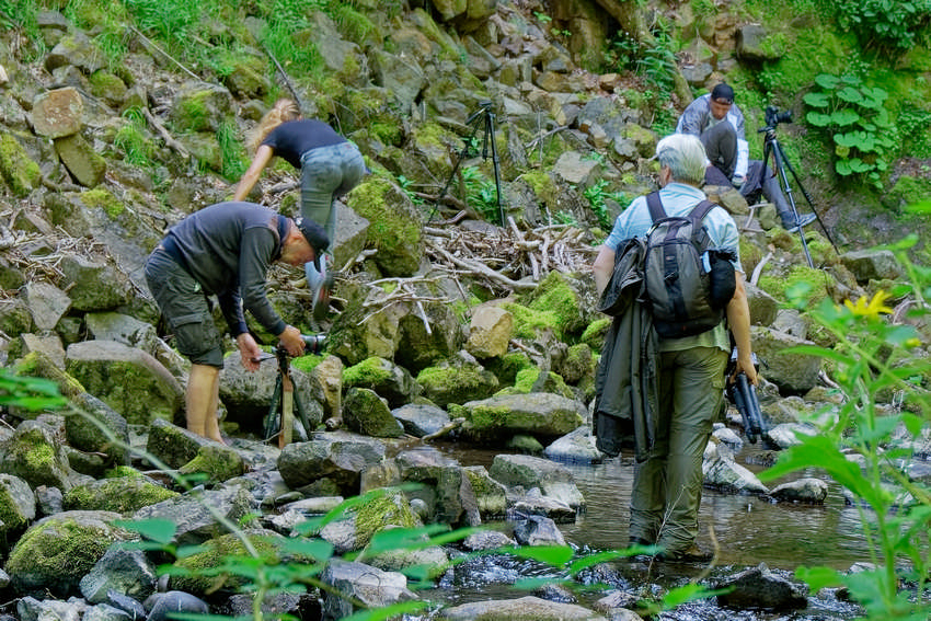 YannickBac, MissPluton, Krystron, Valentin-Charles