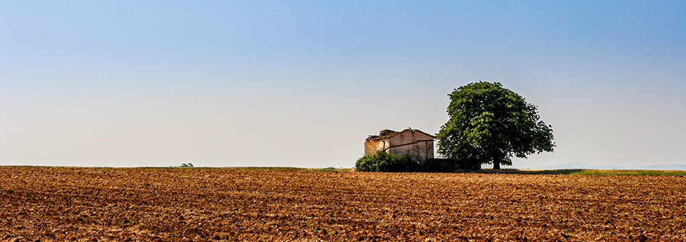 2129456050_Provenvalensoelpierres.jpg.4ce205e10b60bb1d5996c263af58382a.jpg