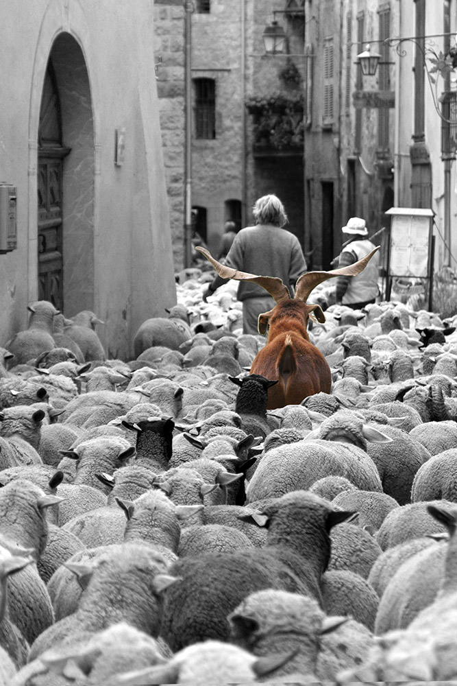 559675503_bouccopie.jpg.7091ad0514a74fb0d2b79f7644daa08d.jpg