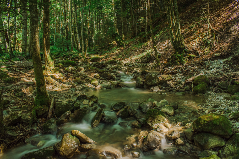 DSC_0122.jpg.b6124071745b97895e54dc1583ae4596.jpg