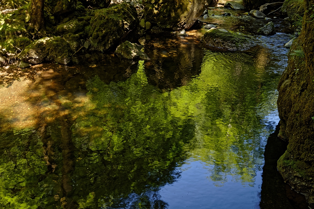 041A7332_DxO-border.jpg.f682da2c04eca65d5a3d2f3b7a70d3ae.jpg