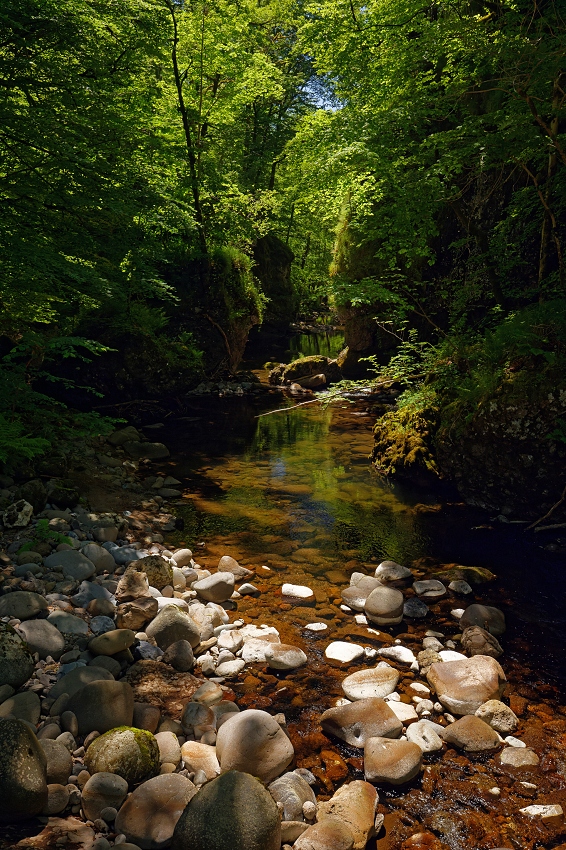 041A7333_DxO-border.jpg.8fef904028f4ef4191a0bae5ec44d046.jpg
