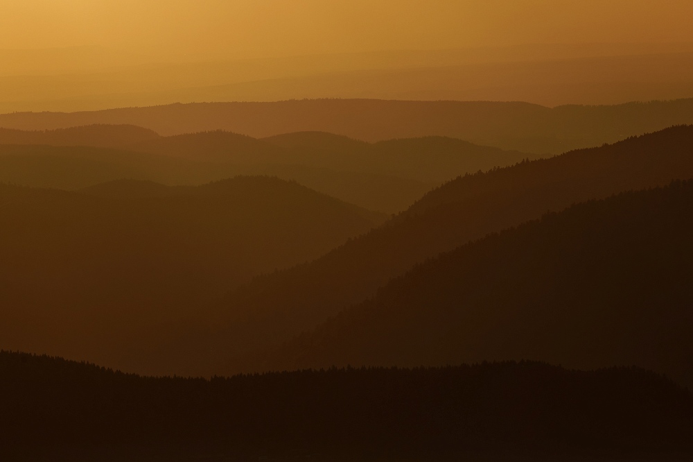 041A8218_DxO-border.jpg.2cf512c74b73111372fcc036bc92bdd3.jpg