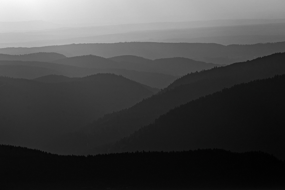 041A8218_DxO_1-border.jpg.9661c4697082b108f437bf2bc30baae4.jpg