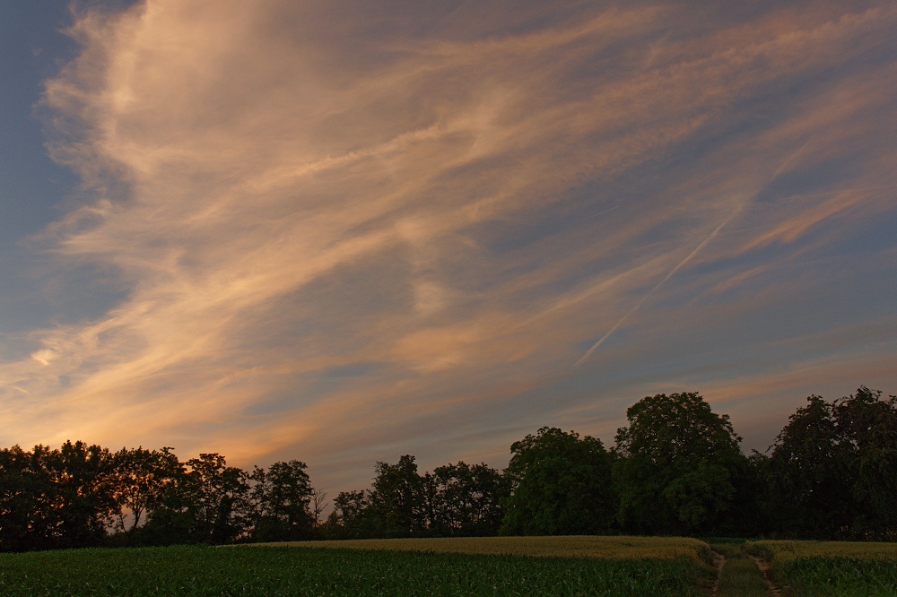 041A8441_DxO-border.jpg.175501fbd8800ac521cfca905fdebf20.jpg