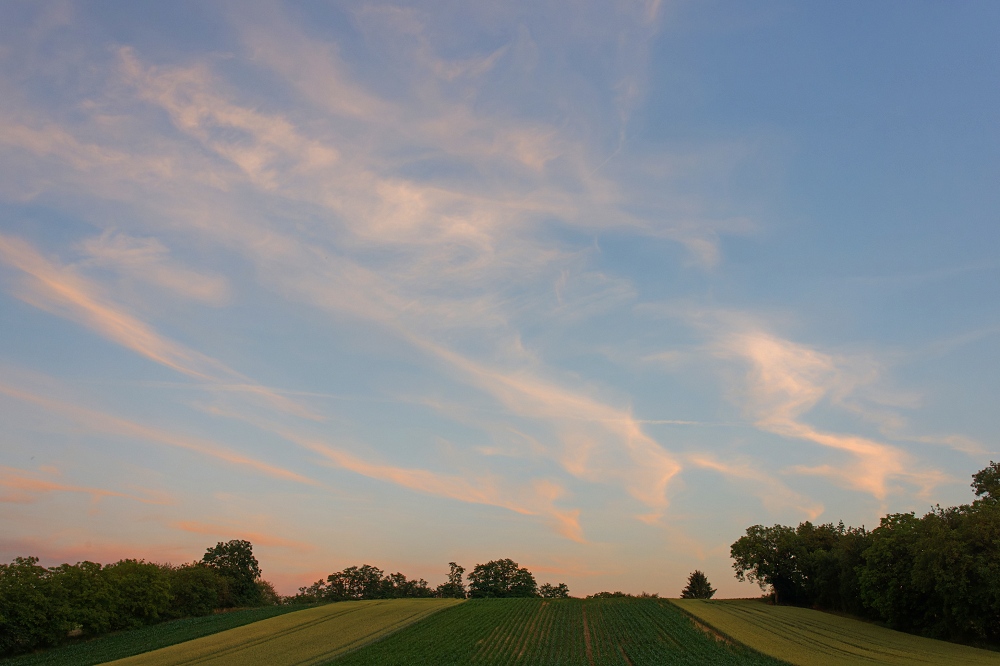 041A8443_DxO-border.jpg.cb47acaa9a79a5cc37422eb2eccf2f6a.jpg