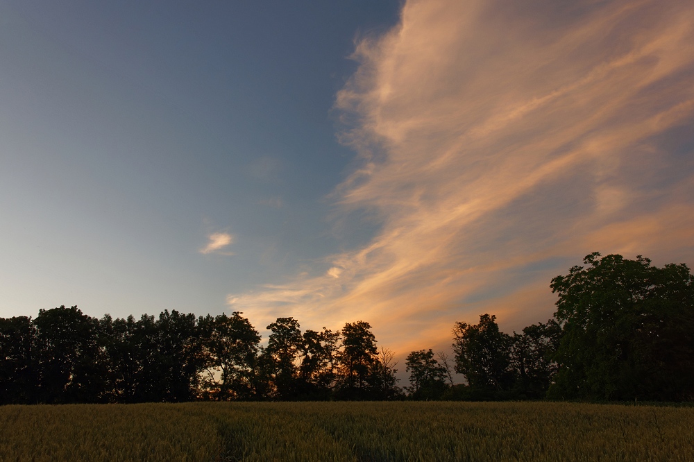 041A8444_DxO-border.jpg.73df7d1a95292bfa790aae0b8f4d481c.jpg