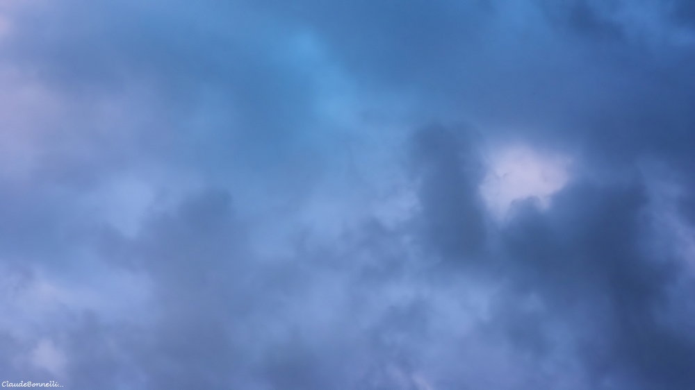 1--2233-1_filtered.jpg.4262f51be3e0c2a68e1508f9f626cdcc.jpg