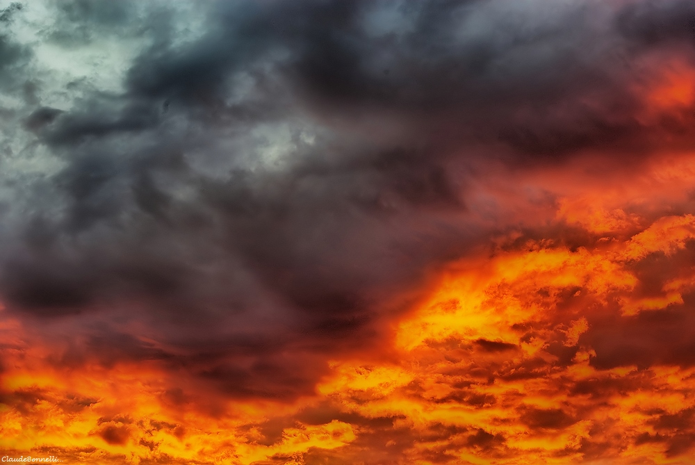 1--2317-1_filtered.jpg.b3af5f182034f6fc7d210a7490d62878.jpg