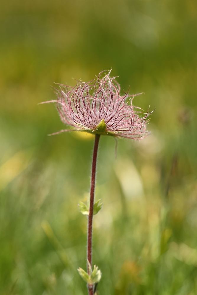 2G6A2767.JPG