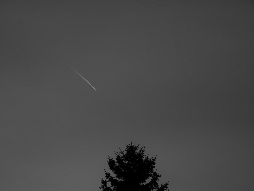 948357965_P1030866(1).jpg.1b0dbeccf8506d012f806a00b9c60b88.jpg