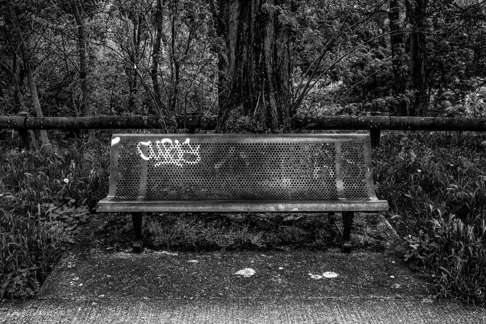 Banc.jpg.8112a1d2c3afe08a93d9f89ef6024a74.jpg