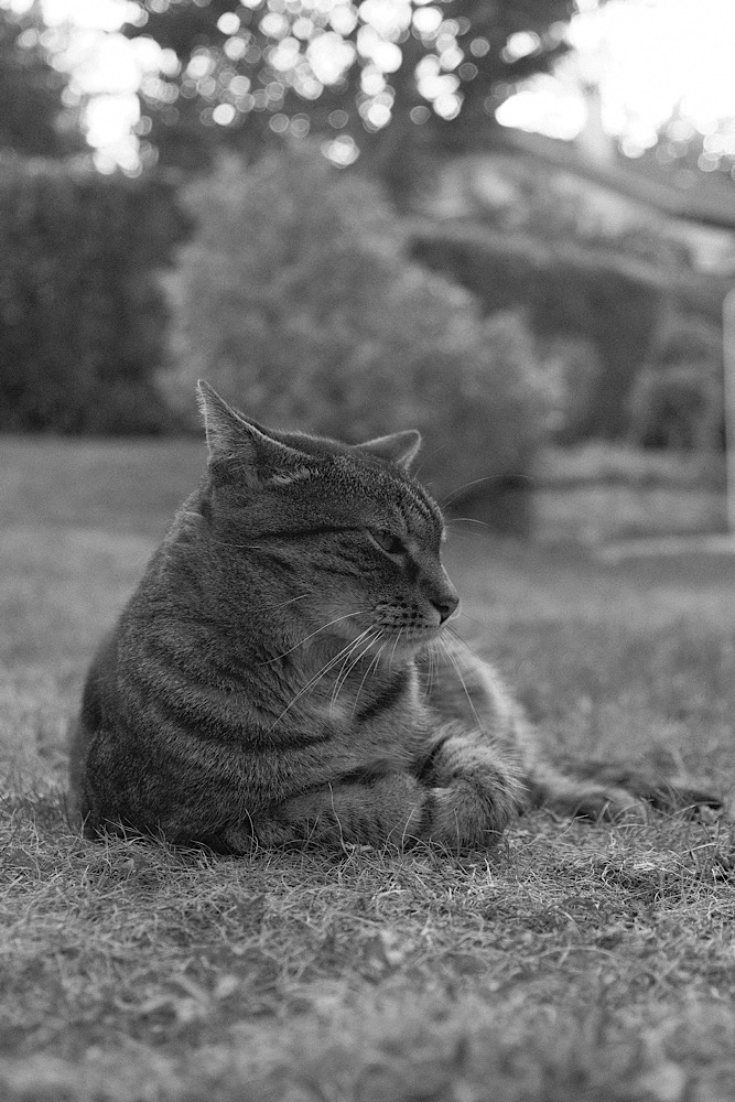FA839F5A-6FCD-4604-82C9-F0F4351A006C.jpeg.ccd3bce6ff28c46005b84b88f2dd5fe5.jpeg