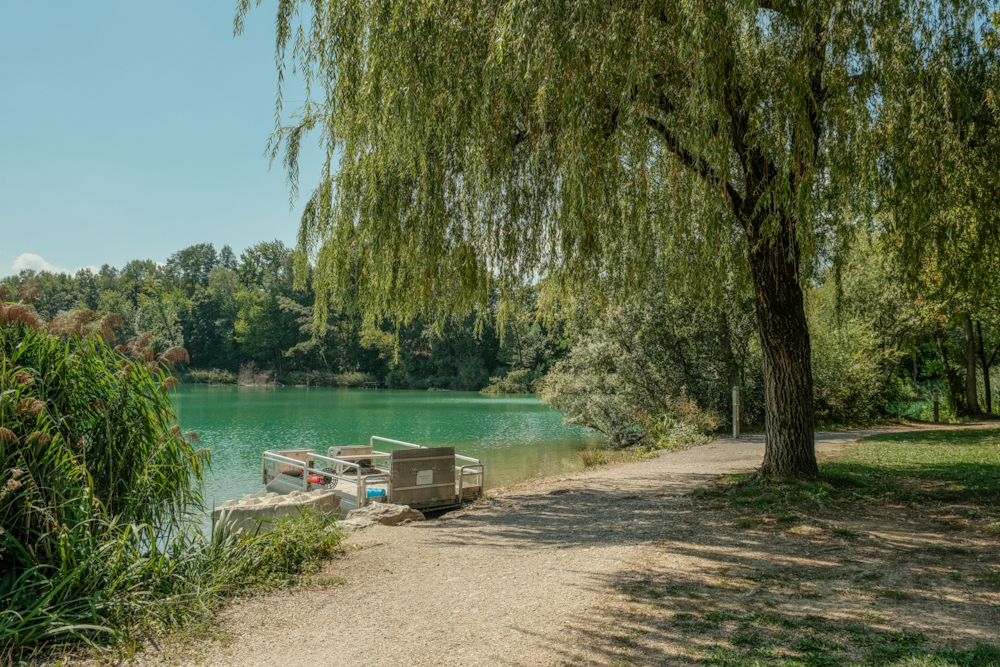 FUJI0778.JPG.526d0d880fe487ddb8c89b05e41327f9.JPG