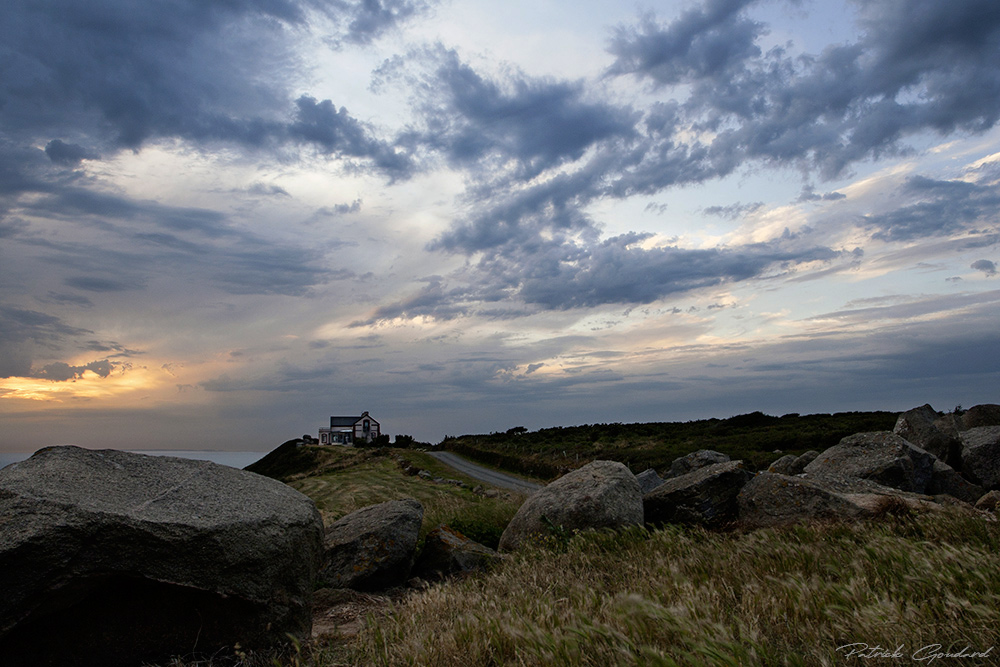 IMG_9429_a_partir_du_RAW.jpg.0d576e0962610fdedcb6a6751ae9d367.jpg