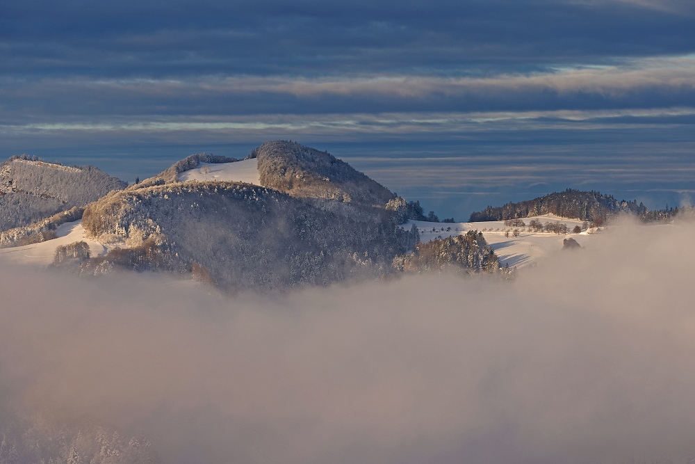 041A3539_DxO-border.jpg.38bd67a4c16f8a7b42e4c6c7e03dedfc.jpg