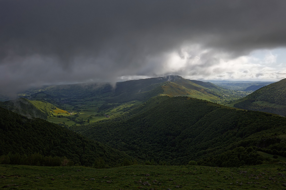 041A6899_DxO-border.jpg.6164e06c7f06eb29dba6b6cdfb3798a5.jpg