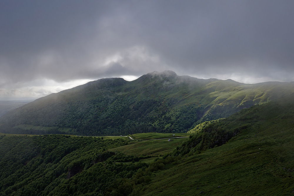 041A6904_DxO-border.jpg.f2aea9e1cfdda122718179e4664a7191.jpg