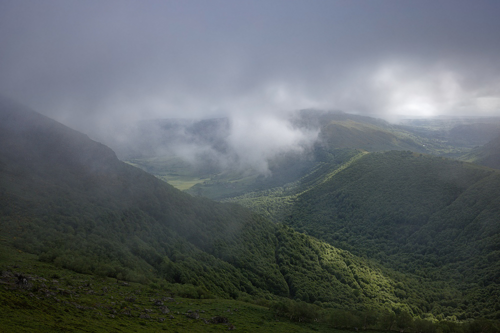 041A6905_DxO-border.jpg.c3d0bdf84fe064e99012901cda3b5329.jpg