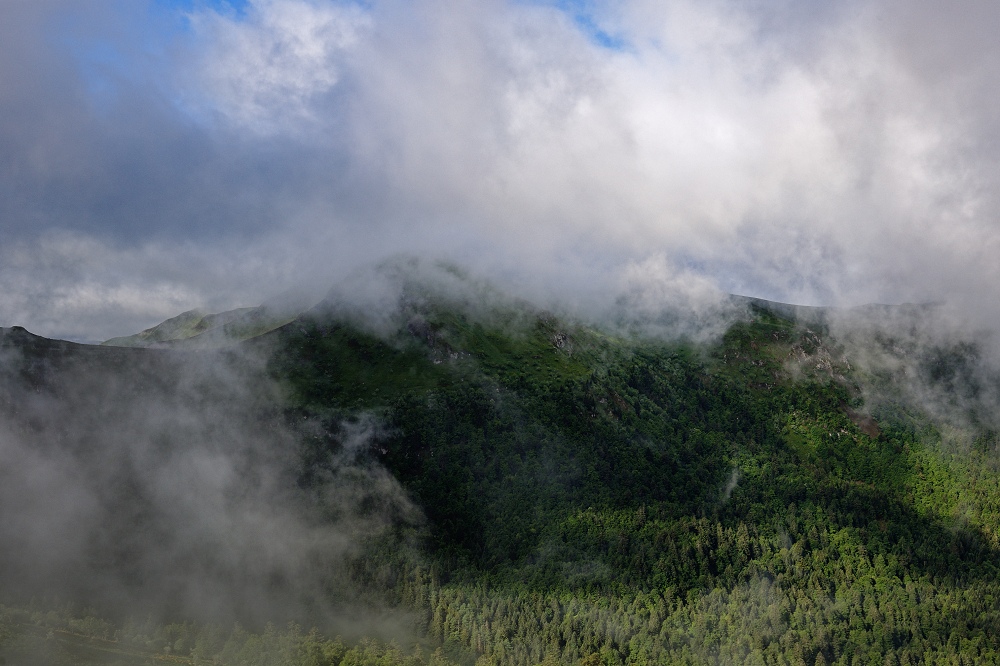 041A6906_DxO-border.jpg.9a6d47f0a9e346a2534e11062f7cc55c.jpg