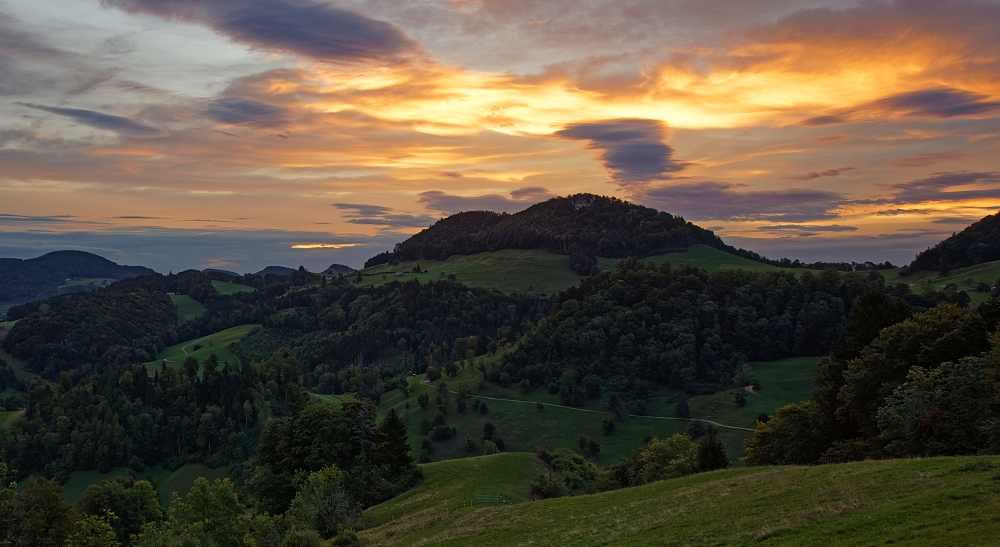 041A9597_DxO-border.jpg.ed5a0c8da18ad143144f47fb6a190506.jpg
