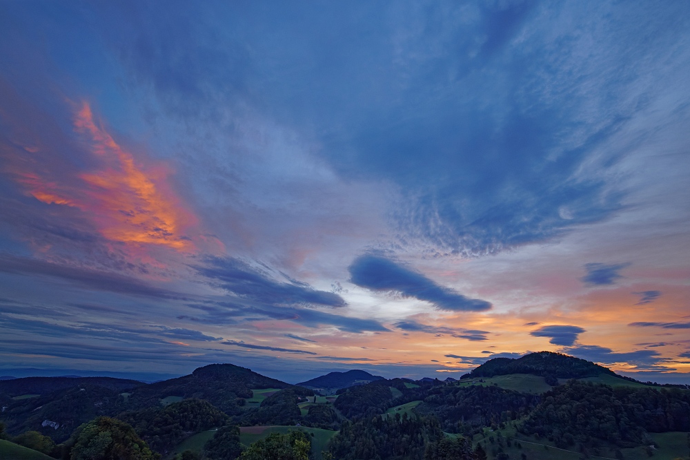 041A9601_DxO-border.jpg.5f1f458e237cf1335f6b7d56781f855f.jpg