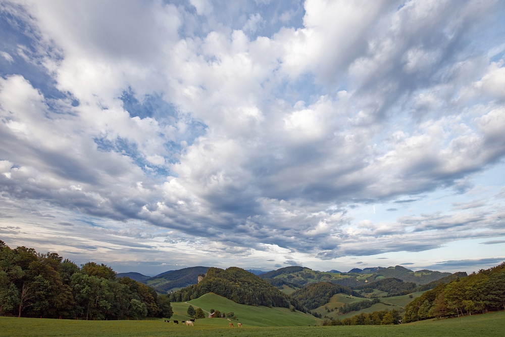 041A9652_DxO-border.jpg.cb37f8575945e031a2926b1e419ec7f5.jpg