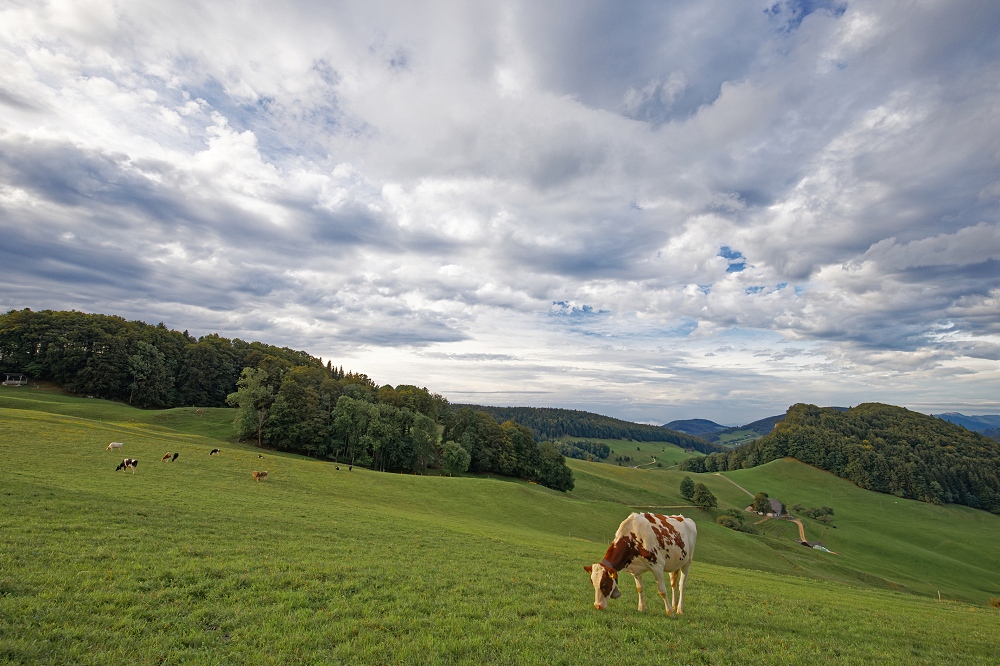 041A9660_DxO-border.jpg.a33a74772696306f4e440b53512c4804.jpg