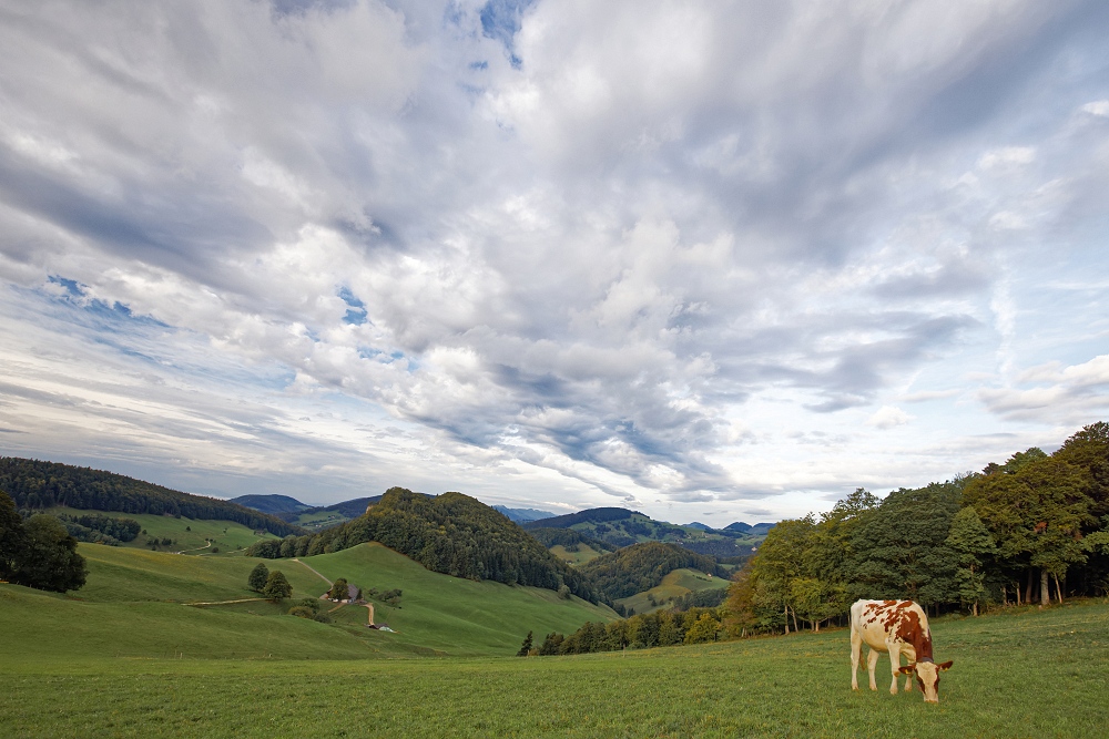 041A9662_DxO-border.jpg.36624c7bbed0034ac811bf15ffcdf585.jpg