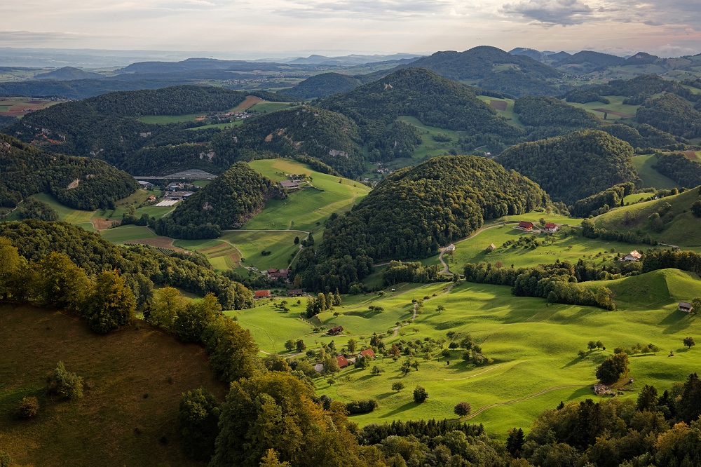 041A9676_DxO-border.jpg.774cf517b3befac073a9be47723c517c.jpg