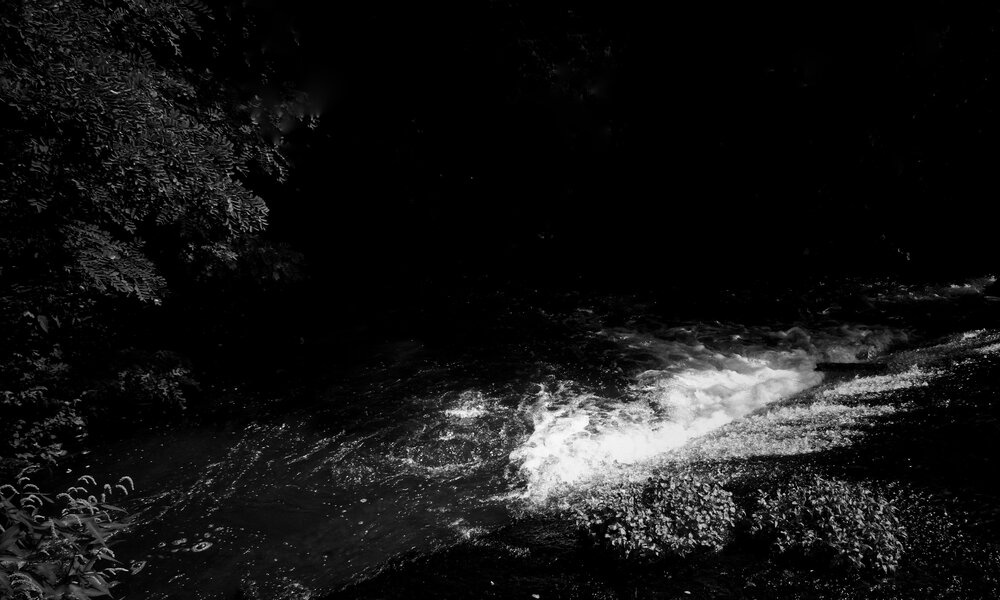 1230803463_IMG_8050_DxO-02-01.jpeg.7f24f8af21b6e5074cde8614bfef4404.jpeg