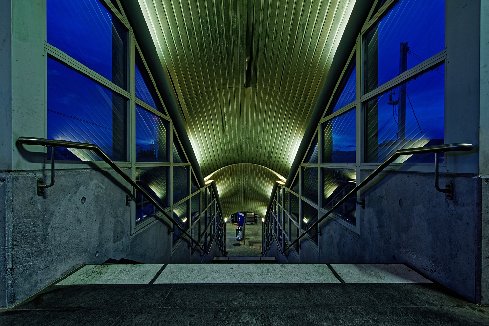 4N1A2347_DxO-border.jpg.222443592a3b9430f7422eb8b80f8c77.jpg