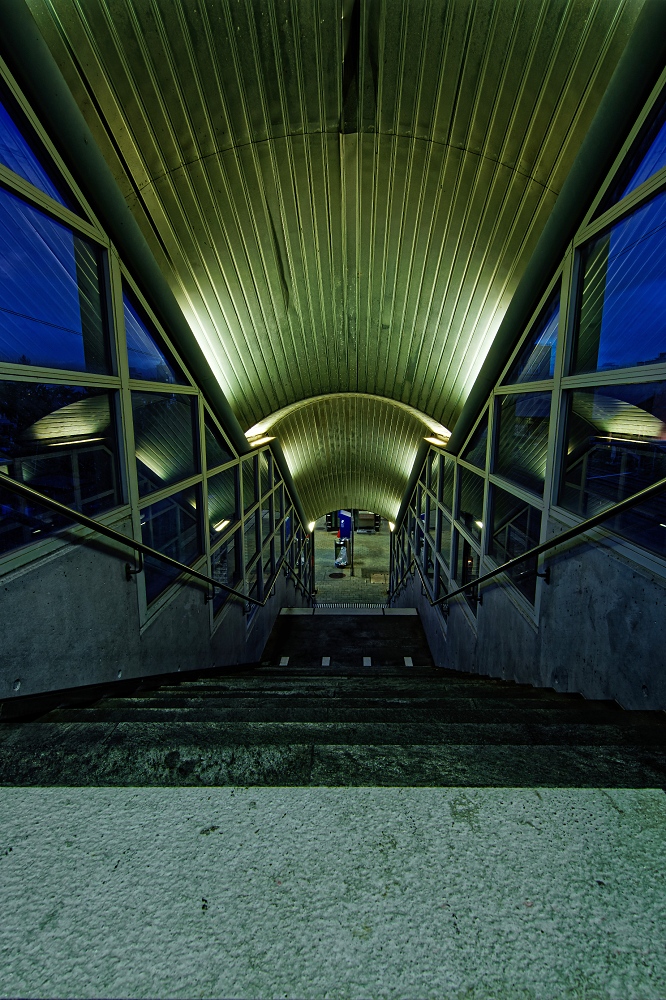 4N1A2349_DxO-border.jpg.2d89e87311262be9f337c262324a5c6d.jpg