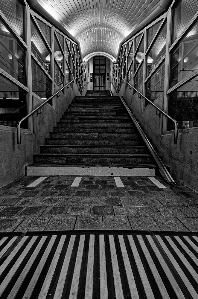 4N1A2353_DxO_1-border.jpg.3d79f721562146f879a2c20870087a2c.jpg