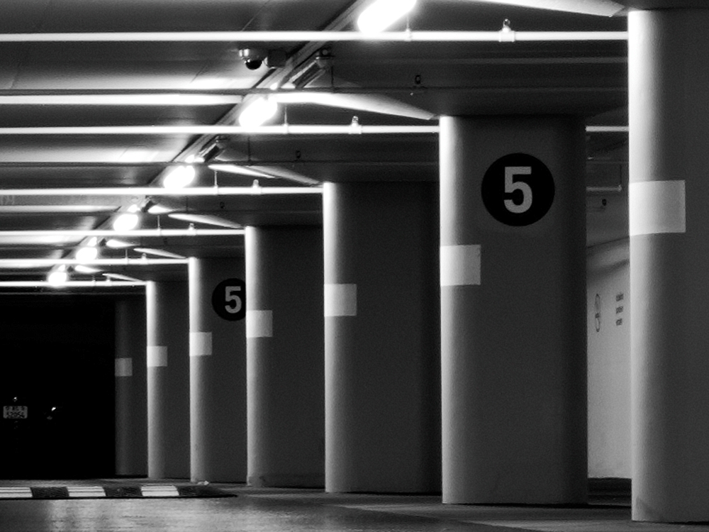 DSCF3038_DxO_123-border.jpg.03b78a5a6e541f42d3201159b1ead775.jpg