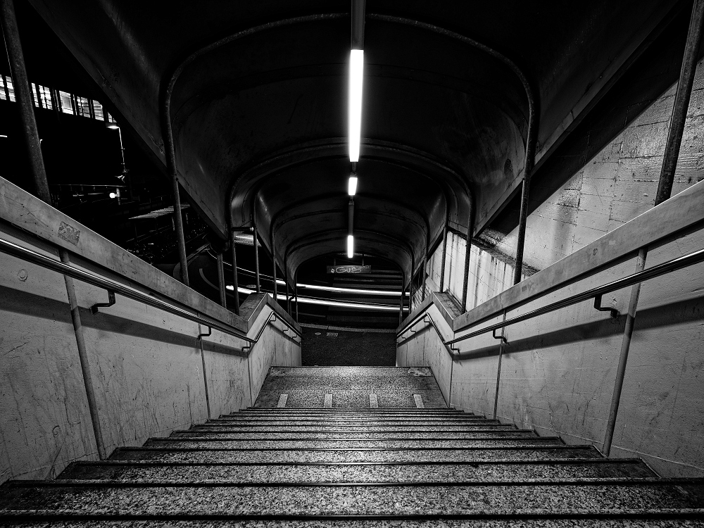 DSCF3047_DxO_1-border.jpg.41bead6cb1c5710fd633262b17a91cde.jpg