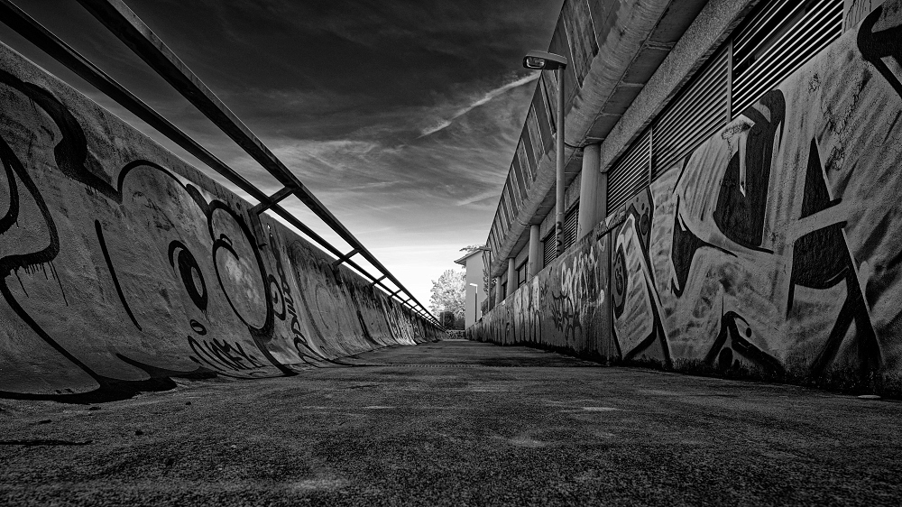 DSCF3131_DxO-border.jpg.8db32b5fc39b8be73e9d836c084b0f96.jpg