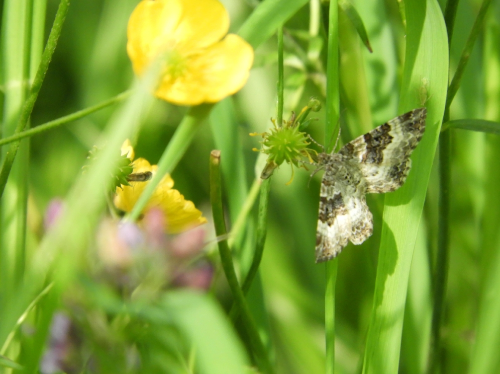 DSCN6563-min.JPG