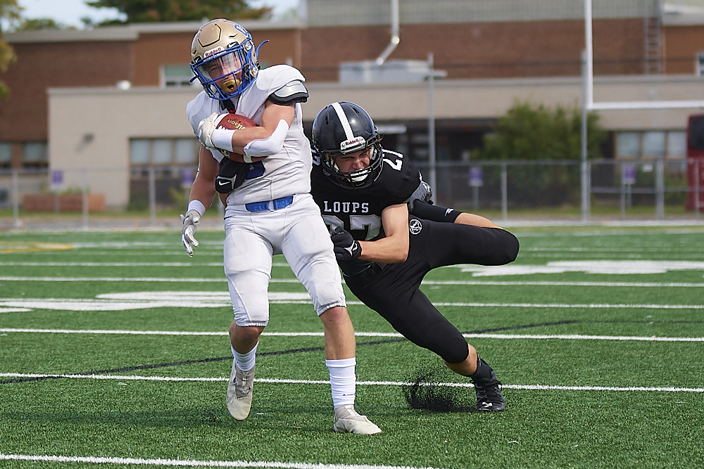 DSC_1866_1000.jpg.4b7c4288a0c38848d76cbedeca1934db.jpg