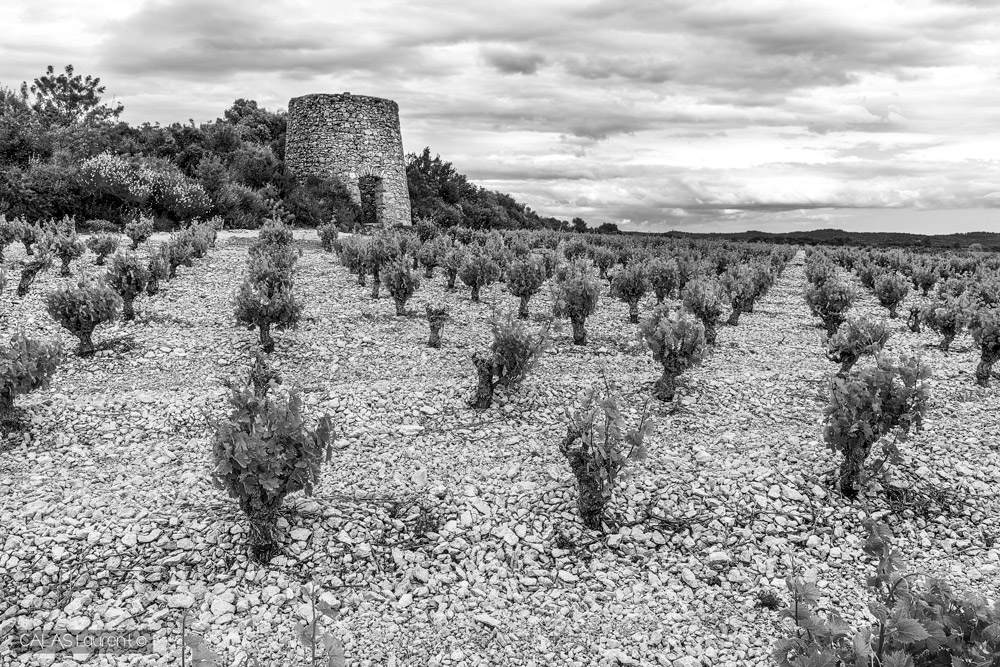 Vignes-st-jean-de-Minervois.jpg.de28e17fea008bb209451007c1d0aa92.jpg
