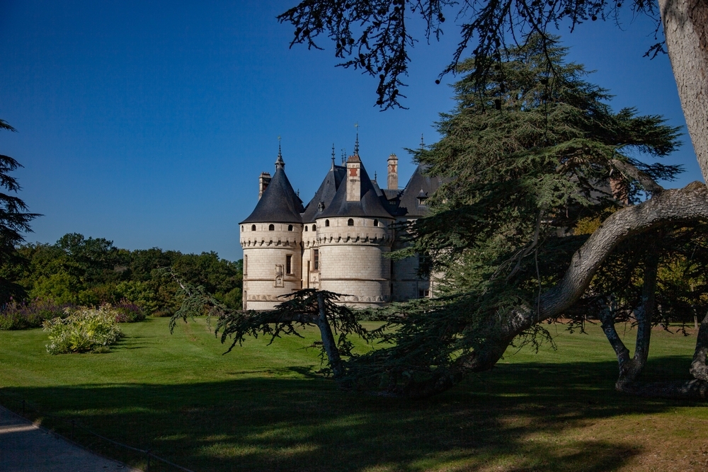 Img_2465. 5d. Sept 22 Chaumont sur Loire 1000