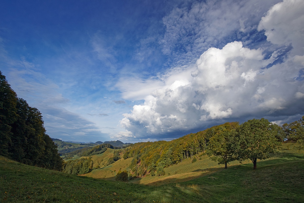 041A9696_DxO-border.jpg.68c082ad818c662b5505b28a7c7077fb.jpg