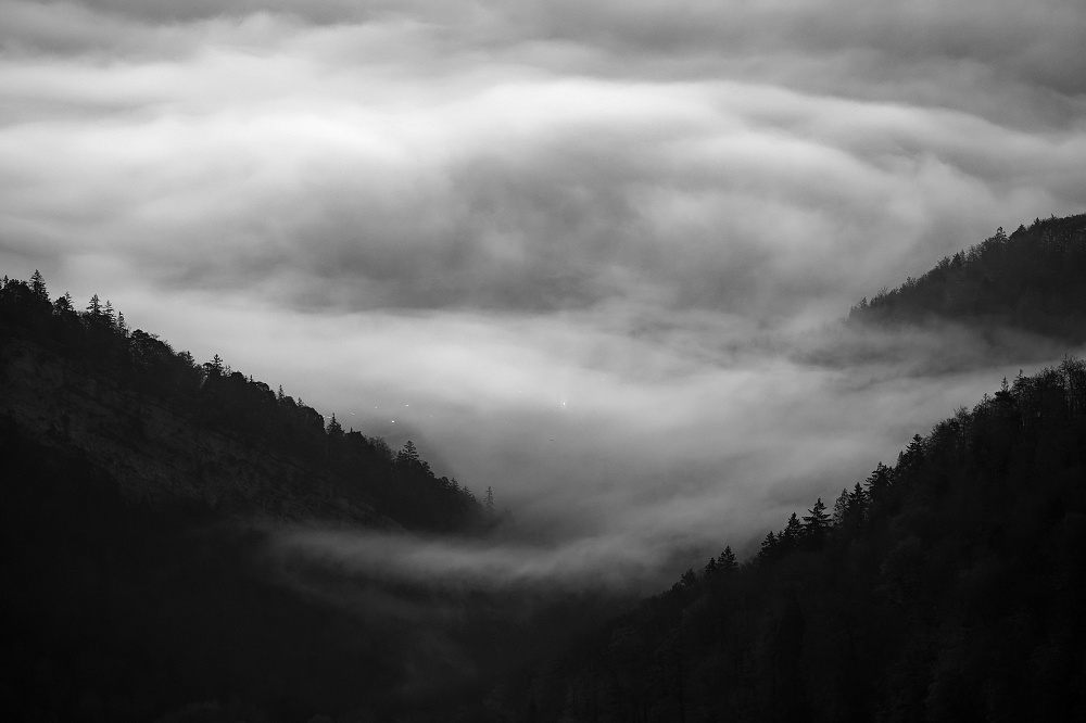 041A9762_DxO_1-border.jpg.e8d02d2b742d53bd01ed73905fd3f3d6.jpg
