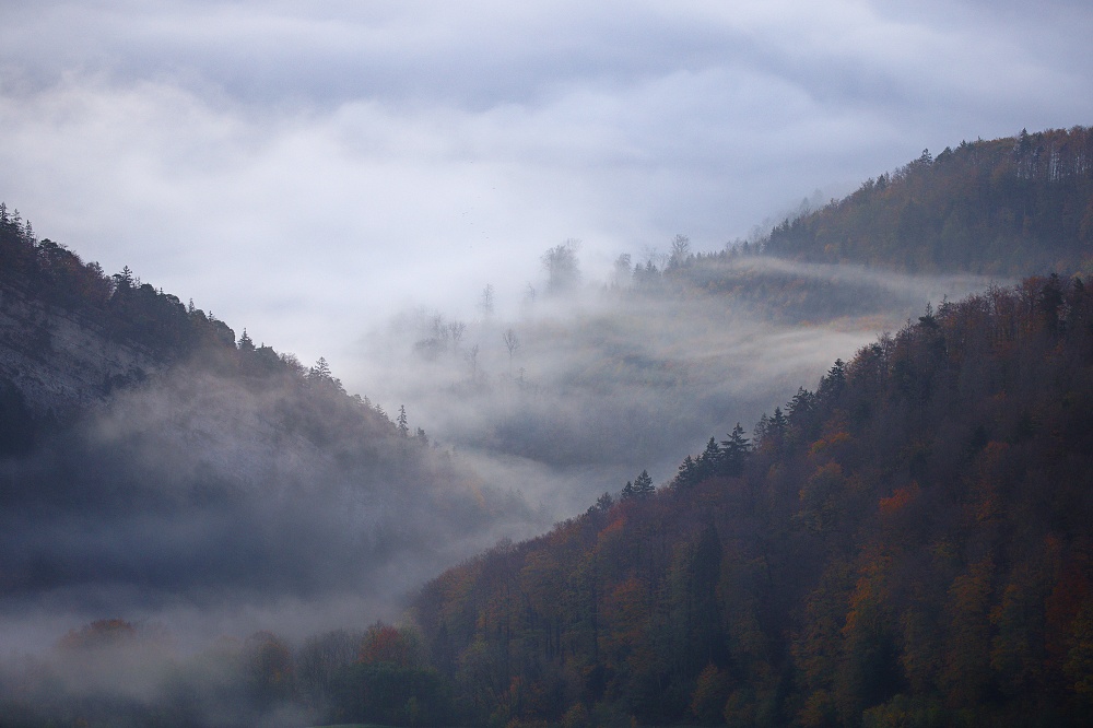 041A9781_DxO-border.jpg.393be8c1277c894fd824b2c72b53fdc7.jpg